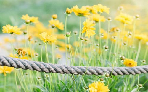 一次亲身经历,让我明白了开心一笑的重要性