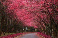 不太爱笑的女孩