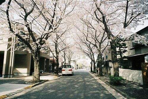 难忘的元宵之夜