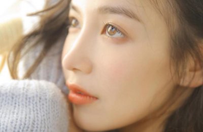 小宠物的奇妙冒险