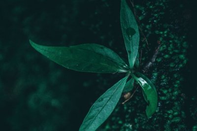 那段难忘的时光