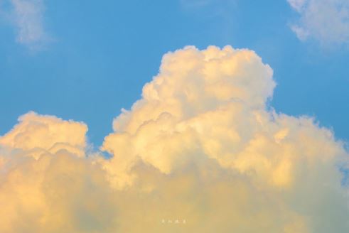 世间百态,书法之美