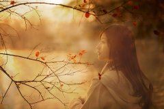 忍住了看你，却忍不住想你