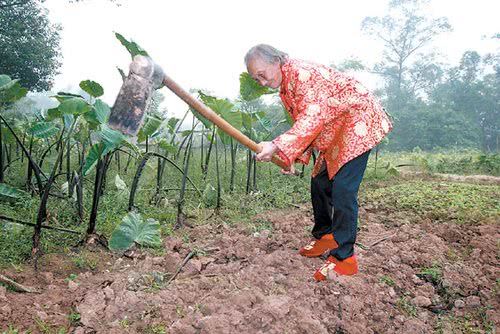 那段学校里的友情
