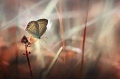 爱过后，心碎了