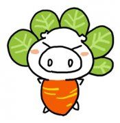 受伤的感悟