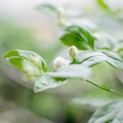 回忆录:过去的这二十七年【十五】