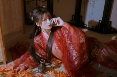 母鸡的奇幻之旅:探索天空的冒险故事