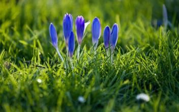 帮助他人实现梦想——更有成就感的助人之道