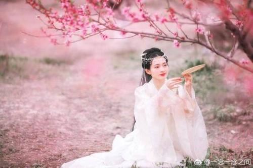 我的小动物观察之旅