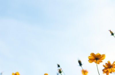 精神陪伴的力量