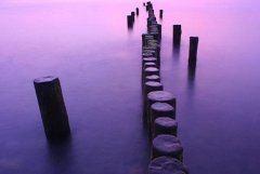 我们愿意在俗世里爱着