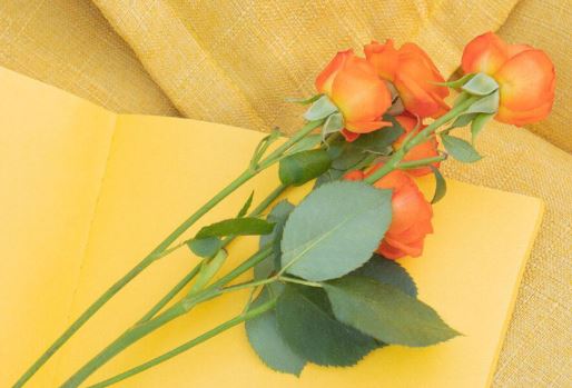 我家有一个小饭桶