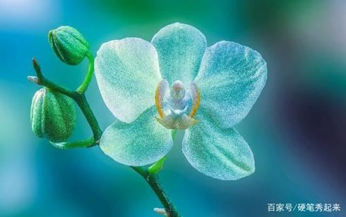 我为青春唱支歌——记录一个寻找自我的故事