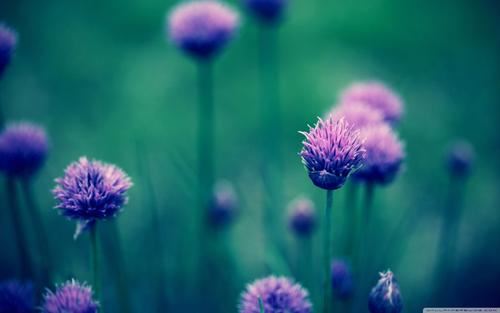 关于热恋的格言名句