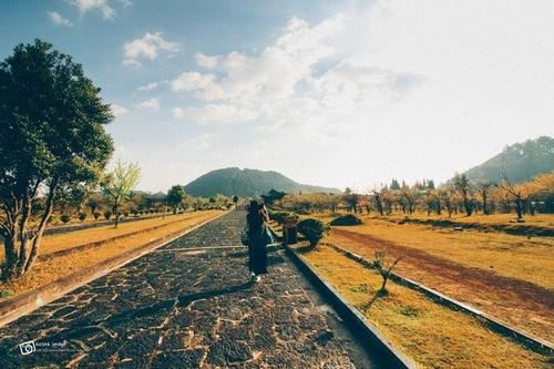 忙碌是长寿最好的“养生秘方”