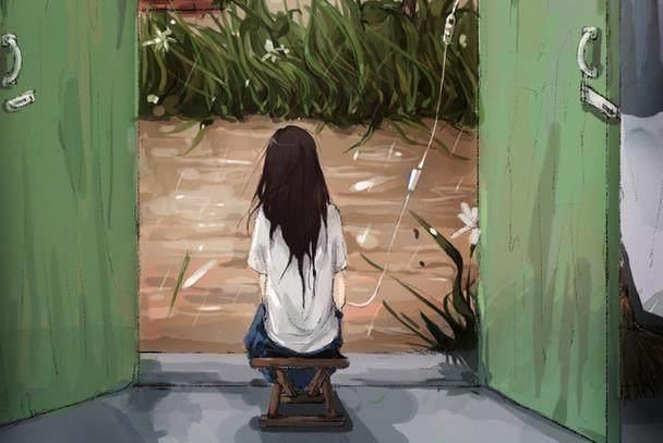 清晨时，阳光下