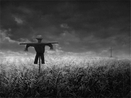 微风，最美的忧伤