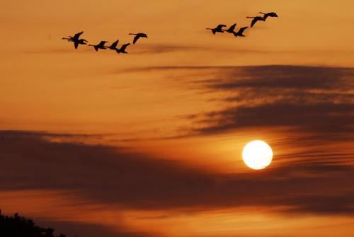 愿友谊可以地久天长