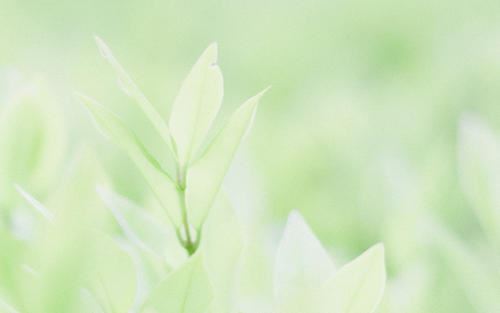 温暖如春，感动如梦