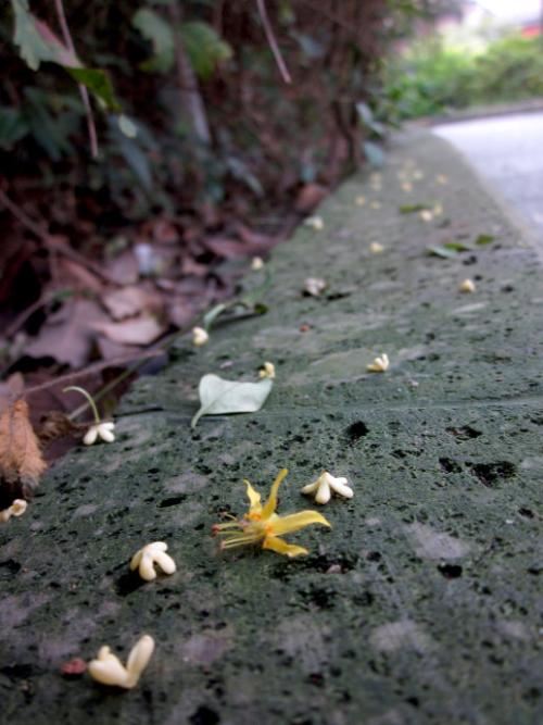 一生中最美好的相聚