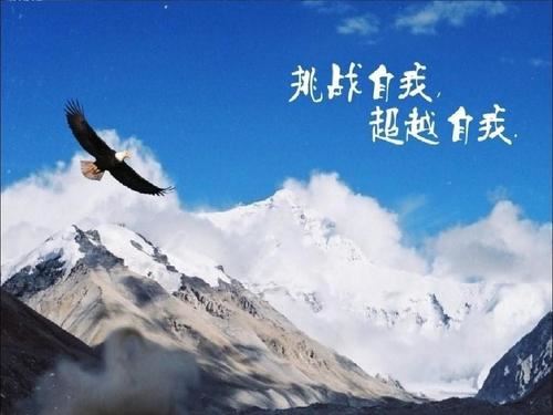 家庭日记