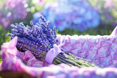 彪悍皇妃训狼高手，第二章