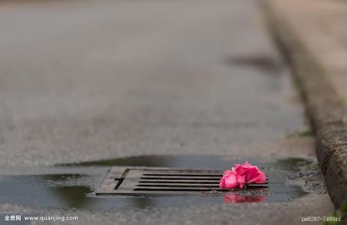 寻找自己的真理 ——读《斐多》