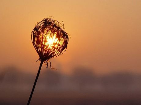 以冬爷爷的礼物真美