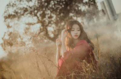 童年奇幻记:探秘那个神秘的森林