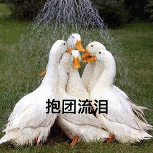 朋友、有时间 , 我们聚一聚吧 , 真的想你们了。那些一起走过的青