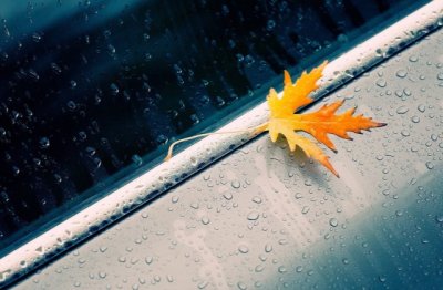 一起沉默一起走