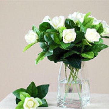 玲玲——女儿对妈妈的爱