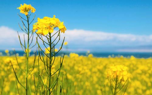 干事业需要激情