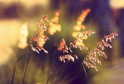 一帘幽梦，与夜的朦胧耍玩