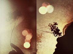 凌乱如我，冰蓝刺青白月光