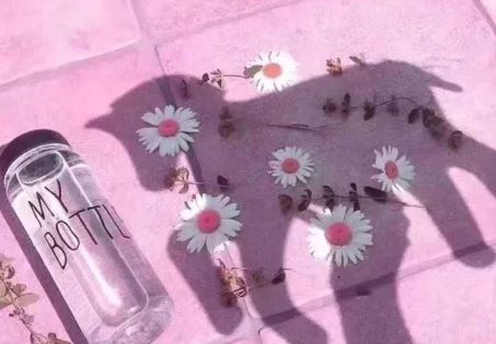 星辰中的星星,我想你陪我摘