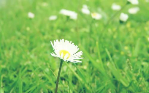 给我26年………