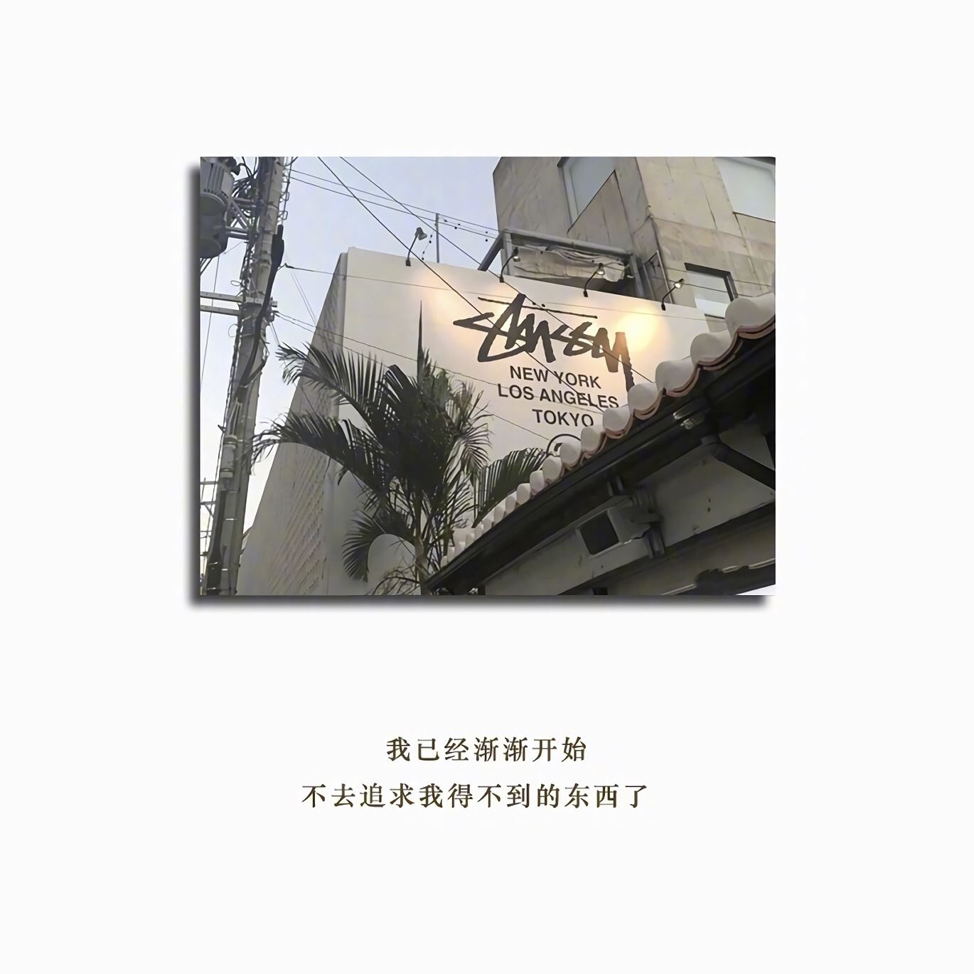 让坚强陪你一起,茁壮成长!