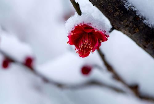 父亲的教诲，成就了勇敢的新一代