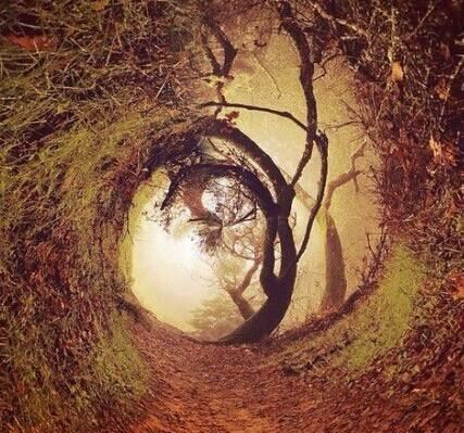 博大精深——一段传承故事