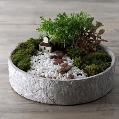 传承古老的道德观念,拥抱美好的人生