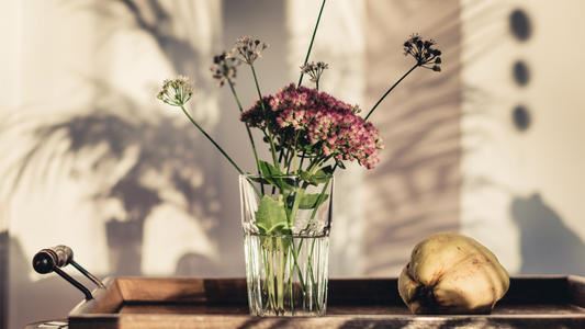 十里桃花香如故，我陪你陌路到相熟