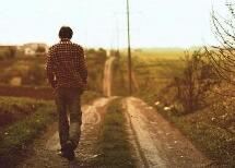 一页窗帘，遮住了阳光却没了风景