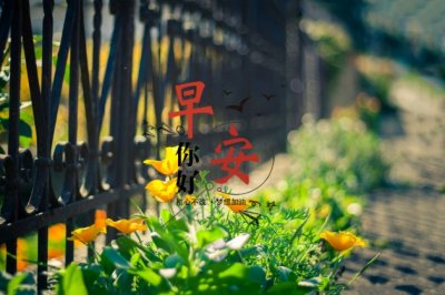 现代故事《寻蜂老爹》