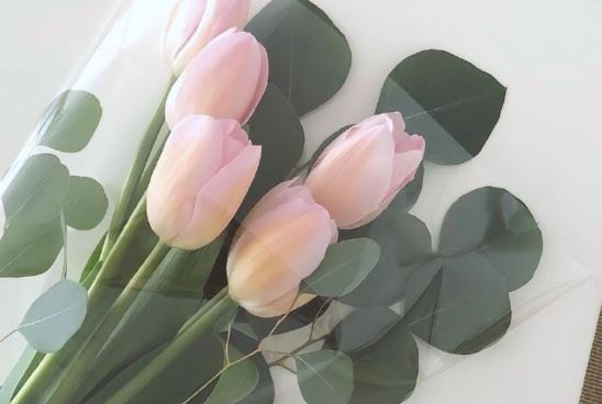 时光半束，江湖一梦