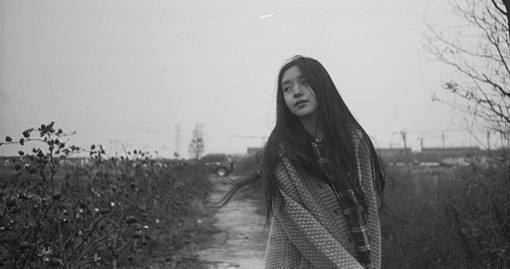 李泉清爱情七日游之六