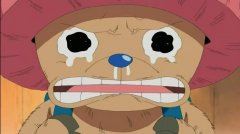 一位小学生的科学探索之路