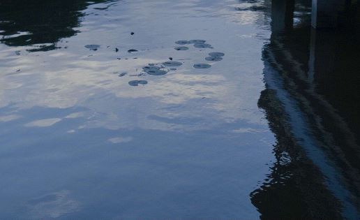 平凡人的平凡，调侃智性思索