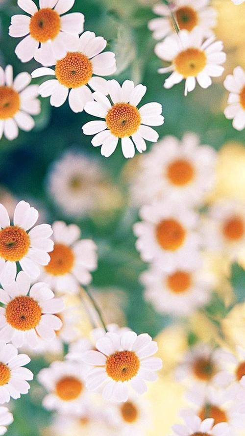 这个暑假，有你更精彩